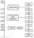 Fig. 01 - IMMUNOSUPPRESSANT FORMULATION