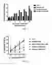 Fig. 09 - T cells expressing a chimeric antigen receptor