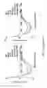 Fig. 07 - Recombinant virus, composition comprising the same, and uses thereof