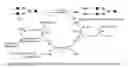Fig. 02 - Antibody-drug conjugates