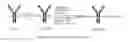 Fig. 04 - Antibody-drug conjugates