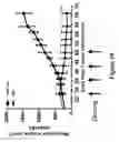 Fig. 08 - Antibody-drug conjugates