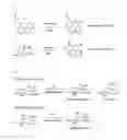 Fig. 02 - Compound bearing beta-galactoside-introduced self-immolative linker