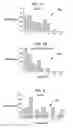 Fig. 02 - MITIGATING UNEXPECTED SYNCOPE WITH VESTIBULAR STIMULATION