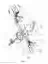 Fig. 02 - Exercise device