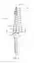 Fig. 02 - Step drill bit