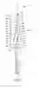 Fig. 03 - Step drill bit