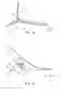 Fig. 02 - Aircraft With Load Reducing Wing Like Element