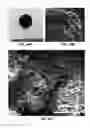 Fig. 69 - Methods of fabricating laser-induced graphene and compositions thereof