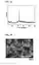 Fig. 05 - Method for synthesizing zeolite using structure directing agent containing benzyl group and zeolite synthesized therefrom