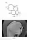 Fig. 04 - Fertilizer compositions having slow-release nitrogen compounds and methods of forming thereof