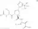 Fig. 06 - Aliphatic prolinamide derivatives