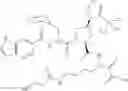 Fig. 112 - Aliphatic prolinamide derivatives