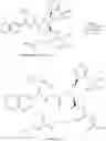 Fig. 80 - Aliphatic prolinamide derivatives