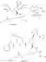 Fig. 88 - Aliphatic prolinamide derivatives