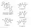Fig. 01 - Pyrrolomycins and methods of using the same