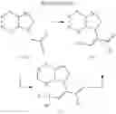 Fig. 12 - Plant growth regulator compounds