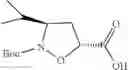 Fig. 100 - Conjugates of cell binding molecules with cytotoxic agents