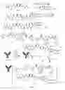 Fig. 16 - Conjugates of cell binding molecules with cytotoxic agents