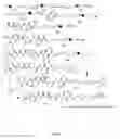 Fig. 22 - Conjugates of cell binding molecules with cytotoxic agents