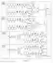 Fig. 48 - Conjugates of cell binding molecules with cytotoxic agents