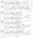 Fig. 49 - Conjugates of cell binding molecules with cytotoxic agents
