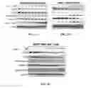 Fig. 03 - Hydrazide containing nuclear transport modulators and uses thereof