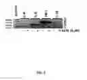 Fig. 10 - Compositions and methods for reducing cell viability