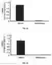 Fig. 02 - Proxisome proliferator activated receptor (PPAR) compounds and methods of using the same