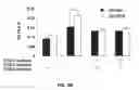 Fig. 07 - Proxisome proliferator activated receptor (PPAR) compounds and methods of using the same