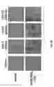 Fig. 08 - Proxisome proliferator activated receptor (PPAR) compounds and methods of using the same