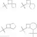 Fig. 102 - Microbiocidal thiazole derivatives