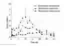 Fig. 01 - Rotigotine behenate, and manufacturing method and application thereof