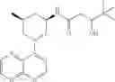 Fig. 182 - TLR7/8 antagonists and uses thereof