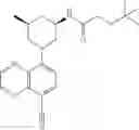 Fig. 197 - TLR7/8 antagonists and uses thereof