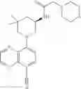 Fig. 248 - TLR7/8 antagonists and uses thereof