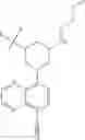 Fig. 255 - TLR7/8 antagonists and uses thereof