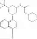 Fig. 262 - TLR7/8 antagonists and uses thereof