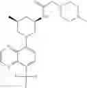 Fig. 293 - TLR7/8 antagonists and uses thereof