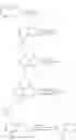 Fig. 633 - TLR7/8 antagonists and uses thereof