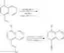 Fig. 635 - TLR7/8 antagonists and uses thereof
