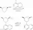 Fig. 646 - TLR7/8 antagonists and uses thereof