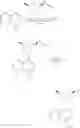 Fig. 688 - TLR7/8 antagonists and uses thereof