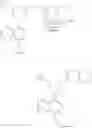 Fig. 727 - TLR7/8 antagonists and uses thereof