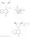 Fig. 764 - TLR7/8 antagonists and uses thereof