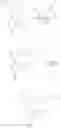 Fig. 773 - TLR7/8 antagonists and uses thereof