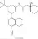 Fig. 984 - TLR7/8 antagonists and uses thereof