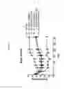 Fig. 17 - Non-systemic TGR5 agonists