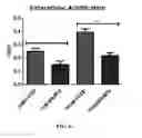 Fig. 07 - Compositions and methods of regulating glucose homeostasis and insulin action