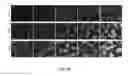 Fig. 06 - Methods and compositions for modifying assembly-activating protein (AAP)-dependence of viruses